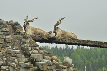 Similar image 22161181