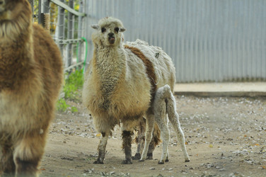 Similar image 22161183