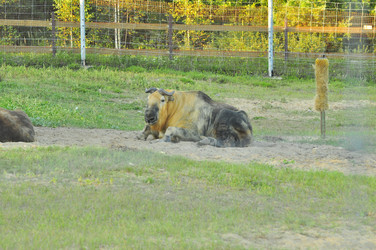 Similar image 22161185