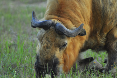 Similar image 22161186