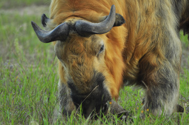 Similar image 22161187