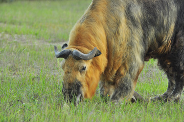 Similar image 22161188