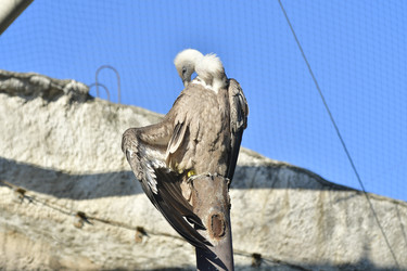 Similar image 22161190