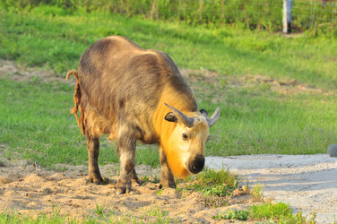 Similar image 22161191