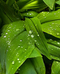 Similar image 22148996