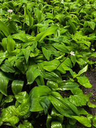 Similar image 22148997