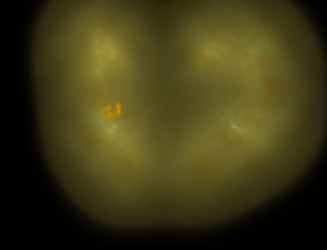 Similar image 22160919