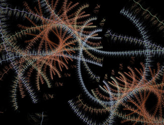 Similar image 22160931