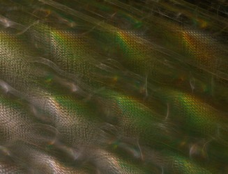 Similar image 22160950