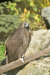 Similar image 22161192