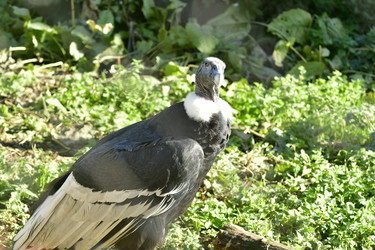 Similar image 22161193