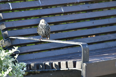 Similar image 22161194