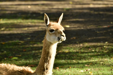 Similar image 22161195