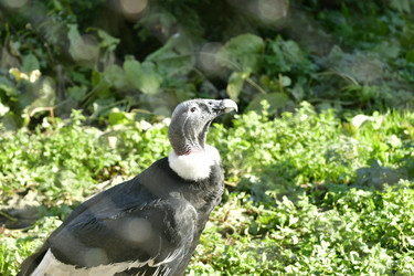 Similar image 22161196