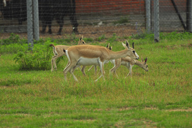 Similar image 22161197