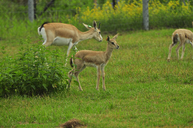 Similar image 22161198