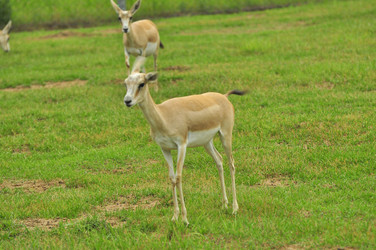 Similar image 22161199