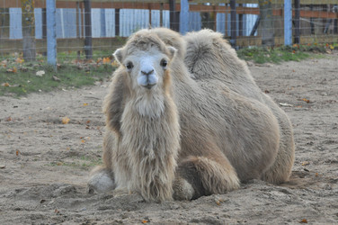 Similar image 22161201