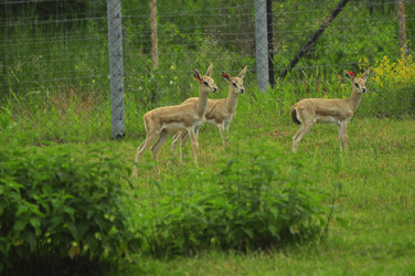 Similar image 22161202