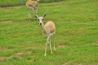 Similar image 22161203