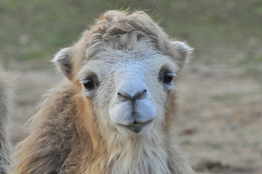 Similar image 22161204