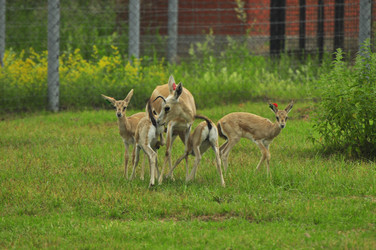 Similar image 22161205