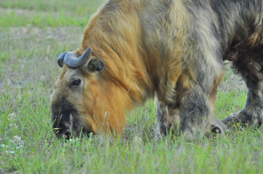 Similar image 22161207