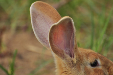 Similar image 22161208