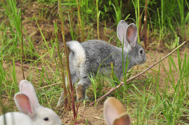 Similar image 22161210