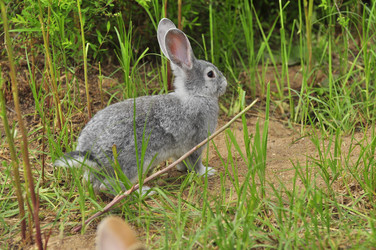 Similar image 22161211