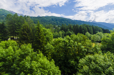 Similar image 22151717