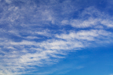 Similar image 22155000