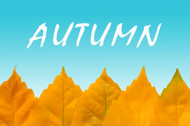 Similar image 22155215