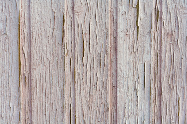 Similar image 22155216