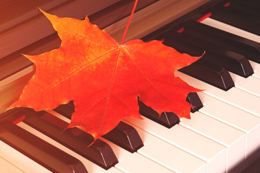 Similar image 22155218