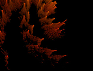 Similar image 22160956