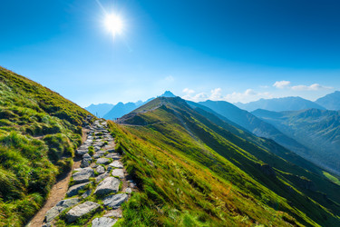 Similar image 22155754