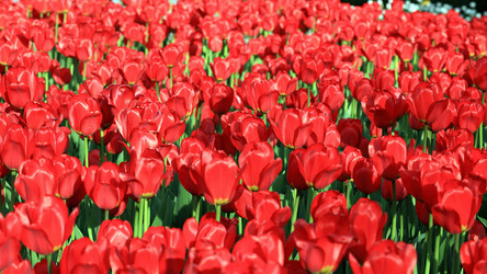 Similar image 22149267