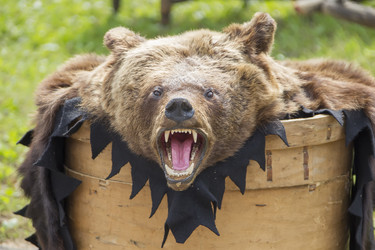 Similar image 22149572