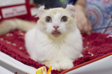 Similar image 22149583