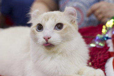 Similar image 22149585