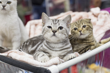 Similar image 22149587