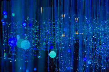 Similar image 22149601