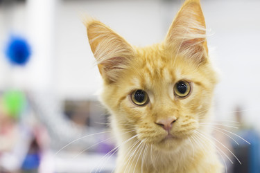 Similar image 22149604