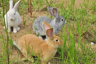 Similar image 22161213