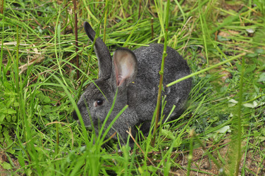 Similar image 22161214