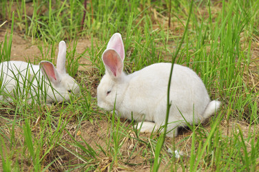 Similar image 22161215