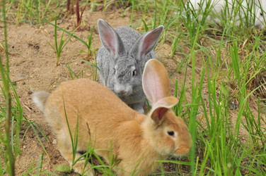 Similar image 22161216