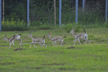 Similar image 22161217