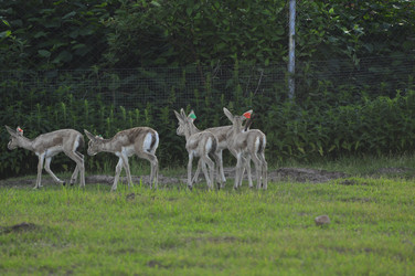 Similar image 22161218